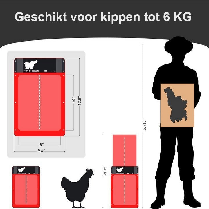 Automatische Kip Deur | Veiligheid voor je Kippen