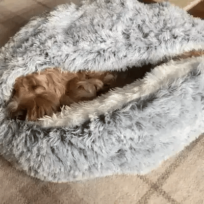 Knus Dierbed voor Honden met Gewrichtsondersteuning