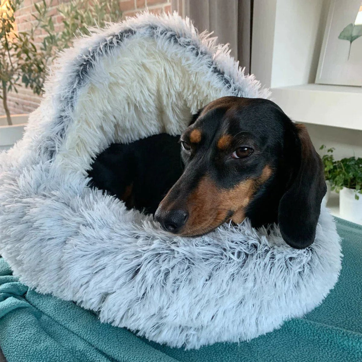 Knus Dierbed voor Honden met Gewrichtsondersteuning