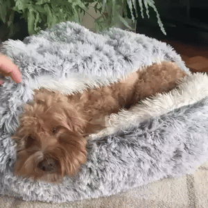 Knus Dierbed voor Honden met Gewrichtsondersteuning