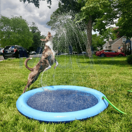 Waterplezier voor Kinderen en Huisdieren in de Tuin