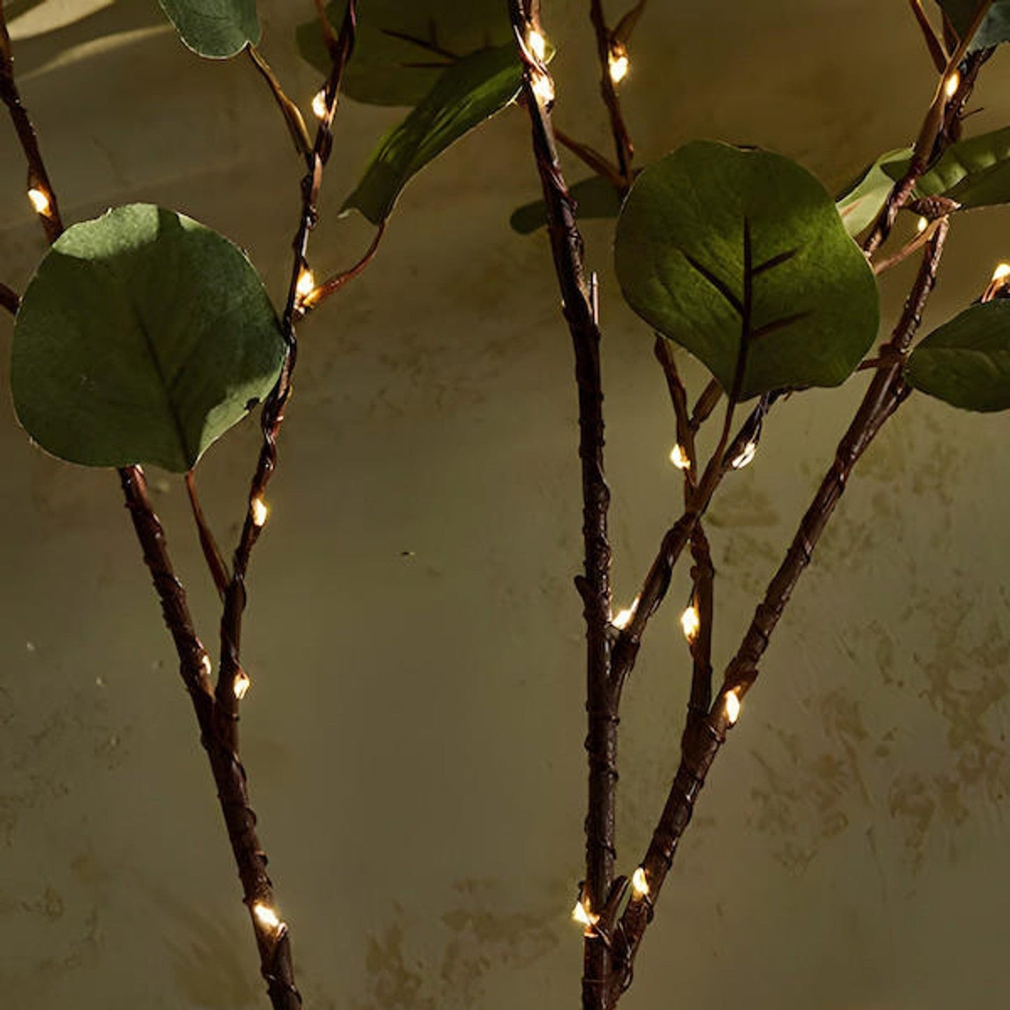 Sprookjesachtige olijftak met LED verlichting